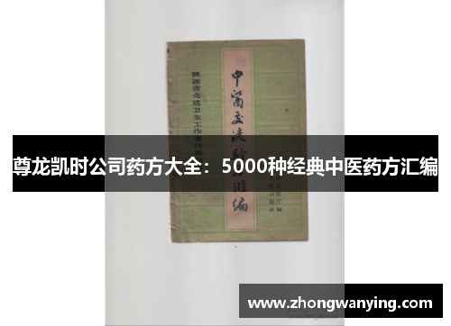 尊龙凯时公司药方大全：5000种经典中医药方汇编